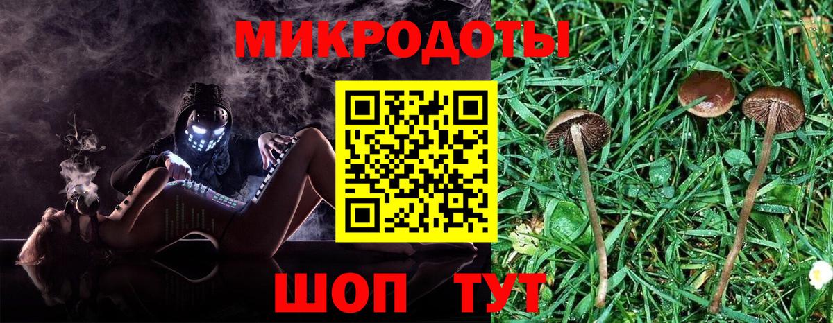 Азнакаево  Псилоцибиновые грибы Psilocybe  Псилоцибиновые грибы Cubensis  Вход с VPN 